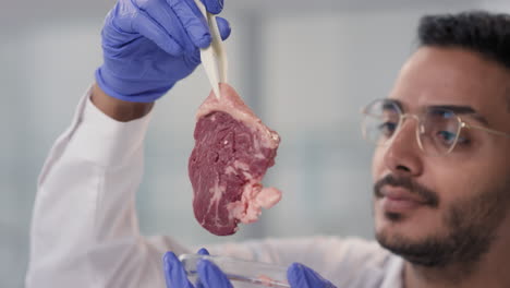 scientist examining a piece of steak in a lab