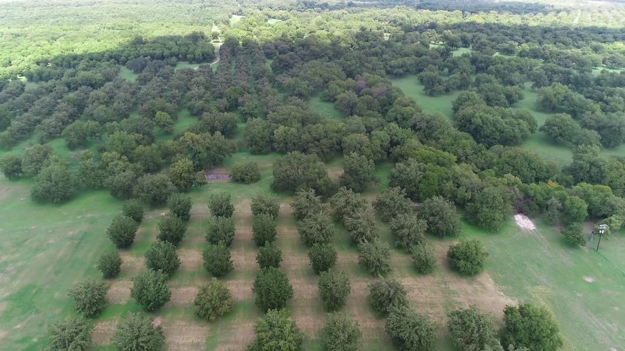 Aerial video of a Pecan Orchid in San Saba Texas