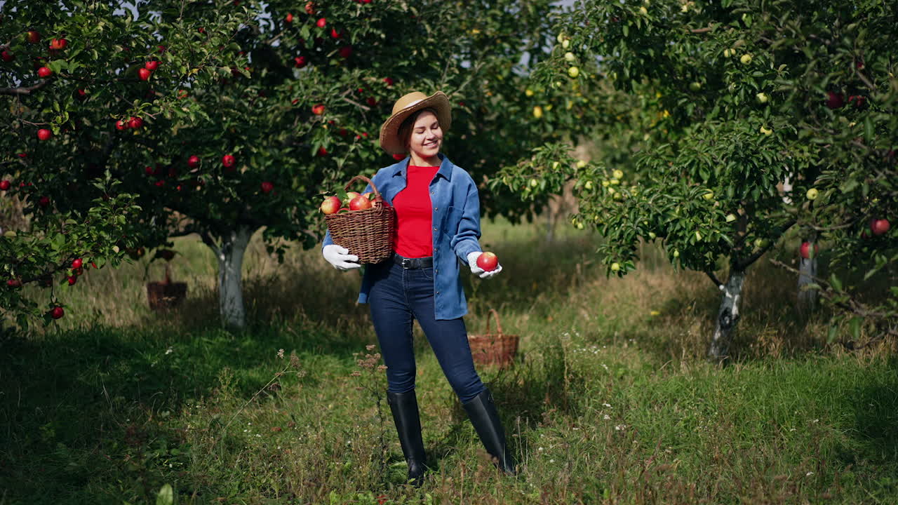 Young attractive woman in hat, Jeanswear and high boots holding a basket of apples. Lady playfully tosses fruit standing in the sun.