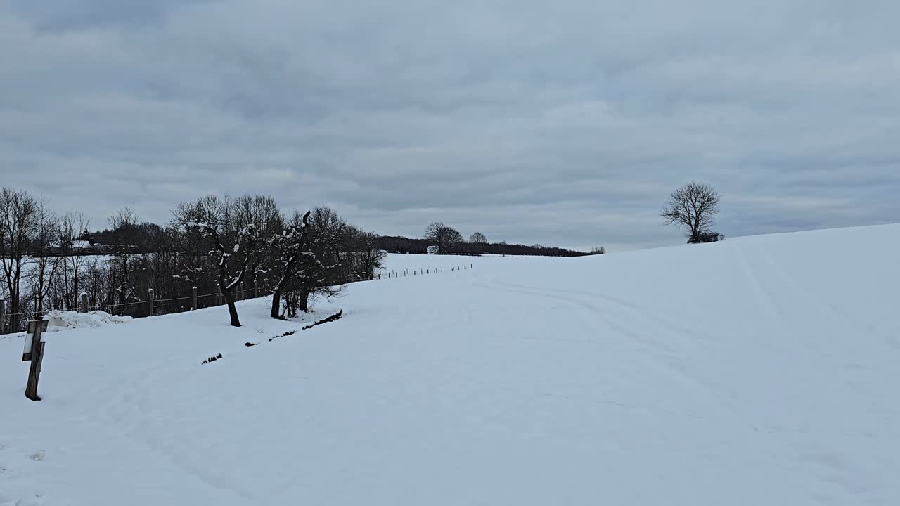 Snow-covered winter landscape in nature – peaceful scenic view