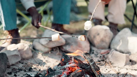roasting marshmallows by the campfire
