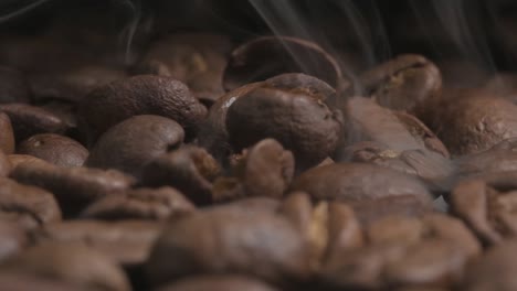 toma macro en cámara lenta de granos de café orgánicos calientes humeantes, cayendo en una bandeja de enfriamiento después de asar