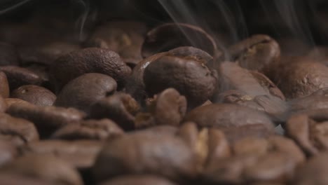 slow motion macro shot of smoking hot organic coffee beans, dropping onto a cooling tray after roasting