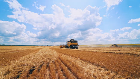 combine harvesting wheat. combine harvester agricultural machine riding in the field of golden ripe wheat