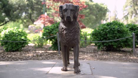 front view of a dog statue at the central park