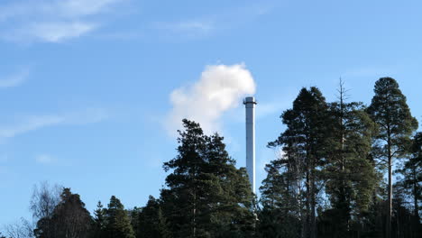 thick grey smoke from factory chimney pipe, isolated in between trees