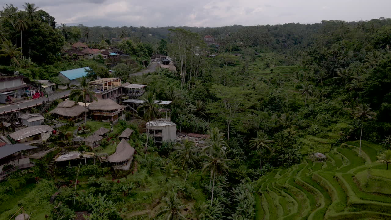 vista aérea de un pequeño pueblo junto a terrazas de arroz en la zona rural de bali