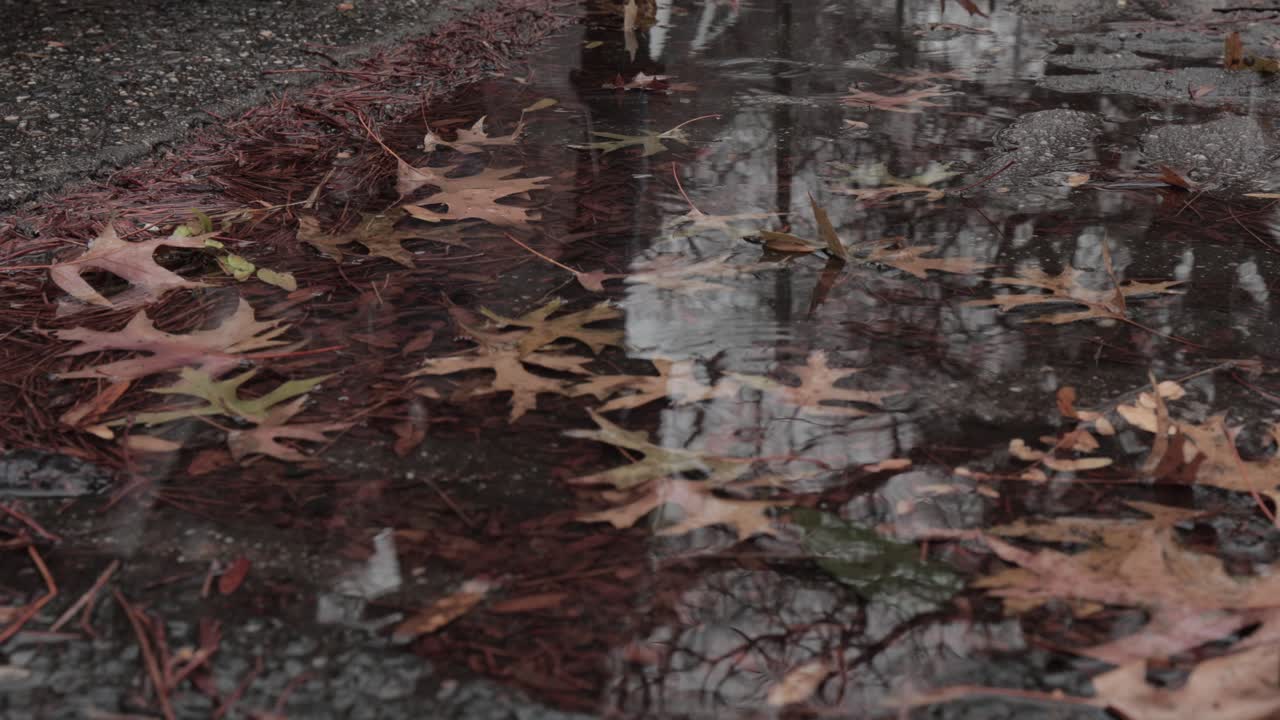 Small puddle with fallen autumn leaves reflecting the pedestrians on the sidewalk during gentle snowstorm in Brooklyn, New York - High angle close up shot