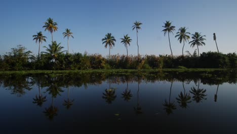 kerala backwaters reflection early morning