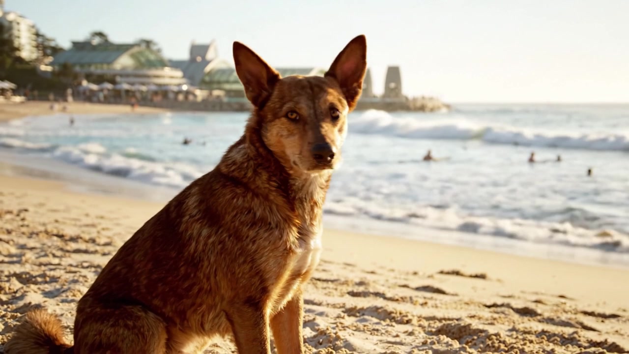 Un allegro cane marrone che si gode una giornata di sole in spiaggia, catturando l'essenza della gioia e della giocosità sulla riva sabbiosa accanto alle vivaci onde dell'oceano