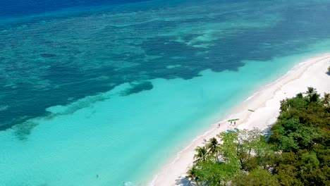 aerial reveal of palm tree lined shore with turquoise blue sea on white beach, panglao island, bohol, visayas, philippines