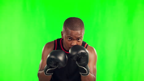 Black-man,-boxer-and-punching-in-fight-on-green