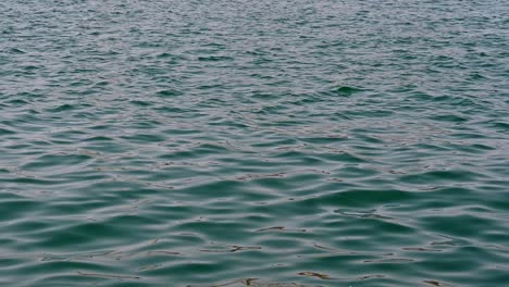 arabian seawater surface, sparkling water loop, background of the water surface, water surface, nice looping background