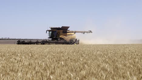 this footage captures the synergy of modern agricultural technology, showcasing the essential role of header fronts in the wheat harvesting process