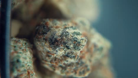 una toma cinemática macro vertical detallada de una planta de cannabis, variedades híbridas de naranja, sativa, flor de marihuana, en un soporte giratorio, full hd, super cámara lenta, 120 fps, iluminación de estudio
