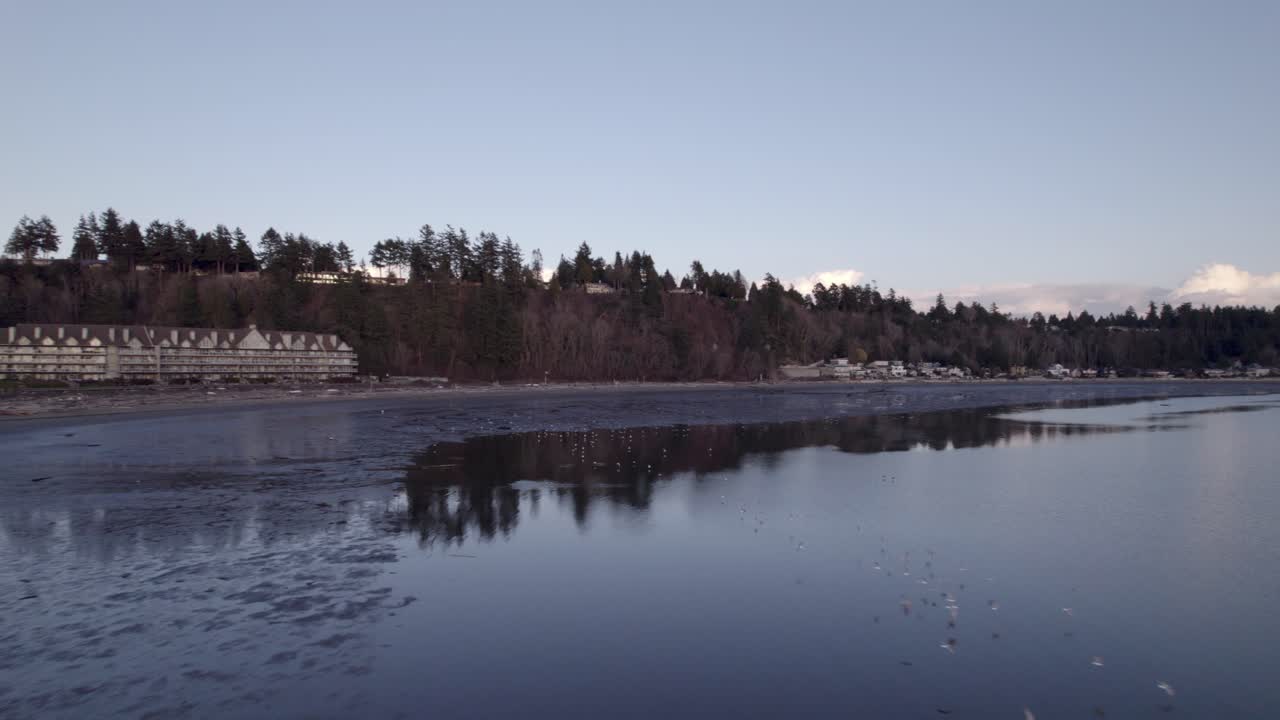 paisaje costero cerca de tsawwassen, canadá. aéreo