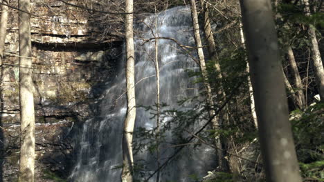 slowly looking up large waterfall in forest with branches in foreground, 4k