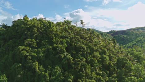 Luftdrohnenaufnahme,-Die-Um-Eine-Dichte,-Bergige-Dschungellandschaft-In-Surigao-Del-Norte,-Philippinen,-Kreist