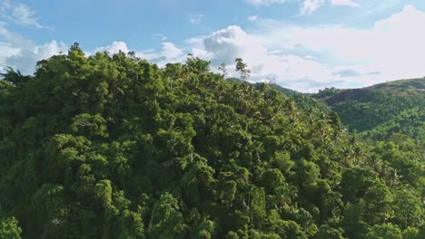 Aerial-drone-shot-circling-around-a-thick-jungle-mountainous-landscape-in-Surigao-Del-Norte,-Philippines