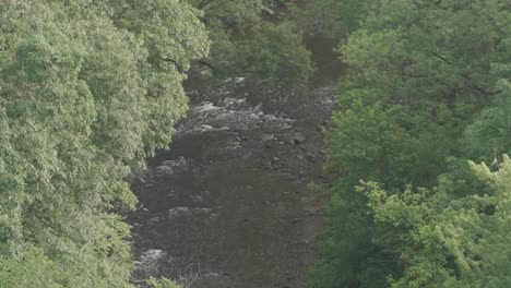 High-angle-shot-of-the-Wissahickon-creek-from-henry-Ave