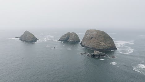 majestic whales, migrating along the coast