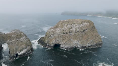 seagulls soaring overhead, their cries echoing off the cliffs