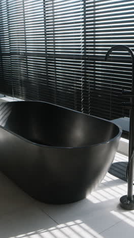 modern black bathtub in a stylish bathroom