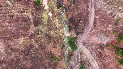 Vista-Aérea-De-Arriba-Hacia-Abajo-De-Un-Bosque-Talado-Con-Arroyo-De-Montaña-Y-Sendero