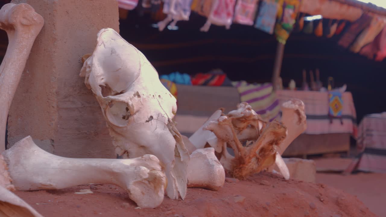 Animal bones, possibly camel remains, within a Bedouin camp in Wadi Rum, Jordan. This video clip offers a glimpse into desert life and cultural traditions.