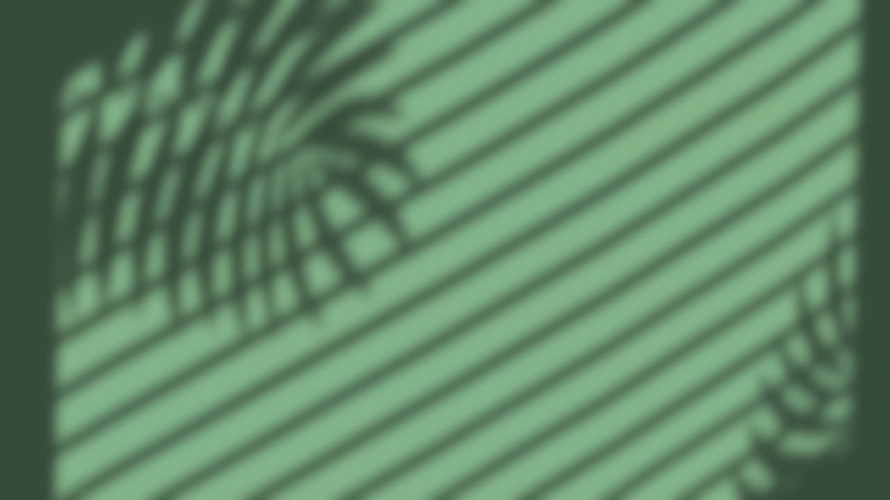 Animation of window shadow of leaves and blinds over green background