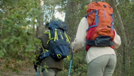 achteraanzicht van jong koppel wandelen langs toeristische route