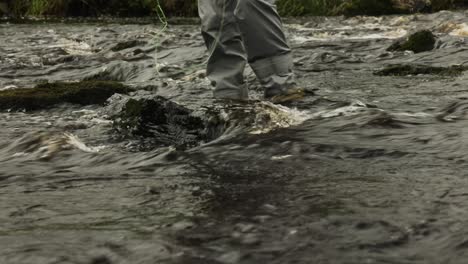 Low-angle-shot-of-a-fly-fisherman-wading-carefully-across-a-fast-flowing-river