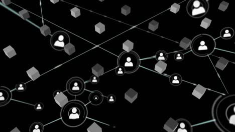 animation of network of connections over shapes