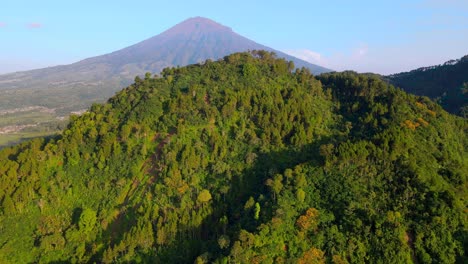 vista aérea del bosque en la colina con la montaña en el fondo