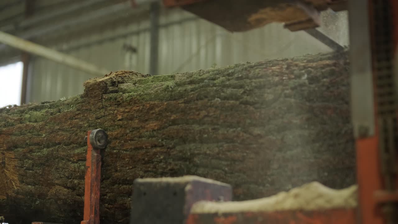 Industrial Sawmill Machine Cutting a Large Log