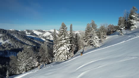 Tiro-De-Dron-De-Snowboarder-Caminando-Cuesta-Arriba-Por-El-Bosque-De-Coníferas-En-El-Soleado-Día-De-Invierno