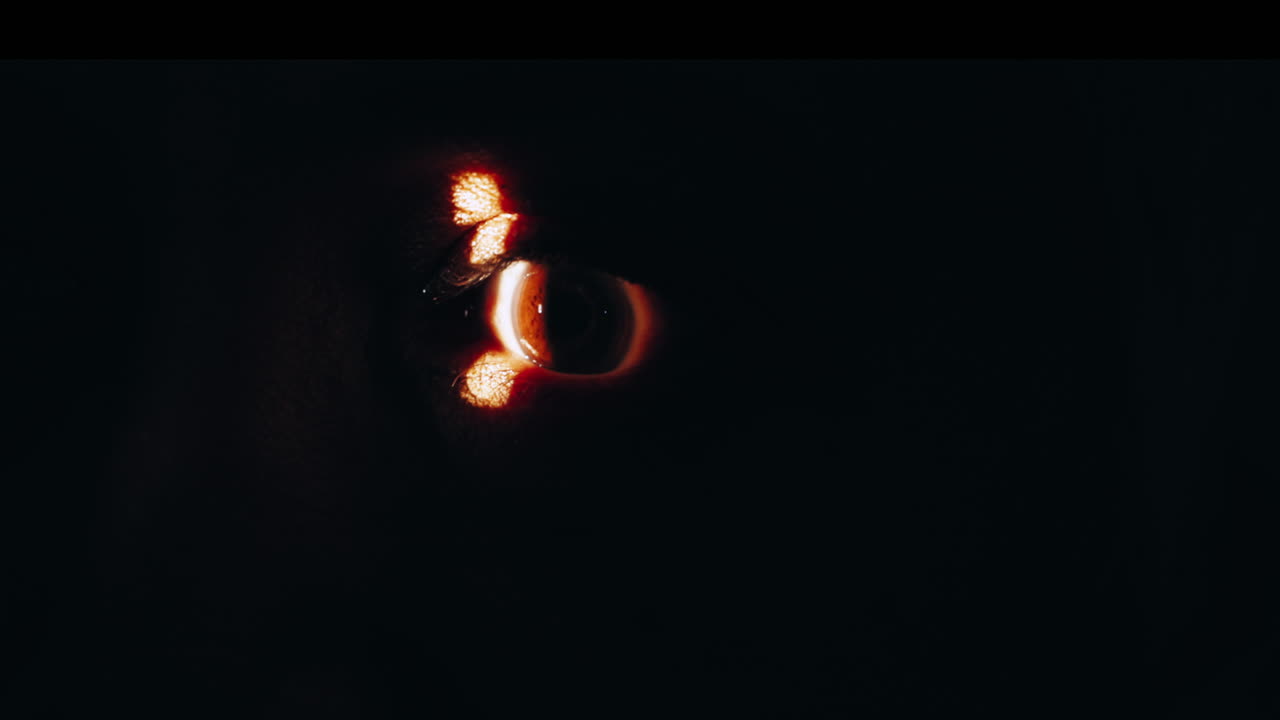 cuarto oscuro, ojo y examen de visión