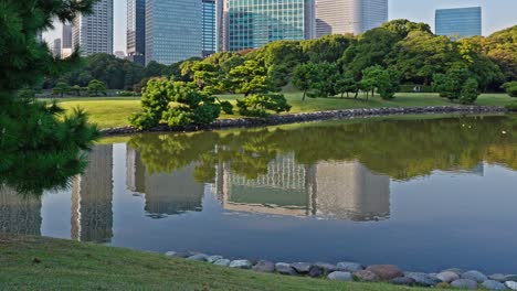 a tranquil pond in hamarikyu gardens reflects modern city buildings under a clear sky, framed by lush green trees and a rock-lined shore.