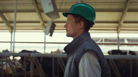 livestock supervisor walking shed controlling work of milking farm close up.