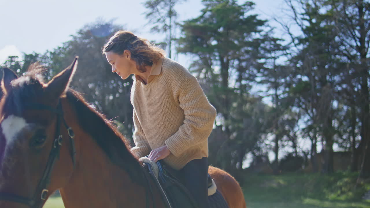 Jockey woman saddle horse at woods closeup. Lady preparing to horseback riding
