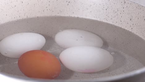 hirviendo huevos en una olla