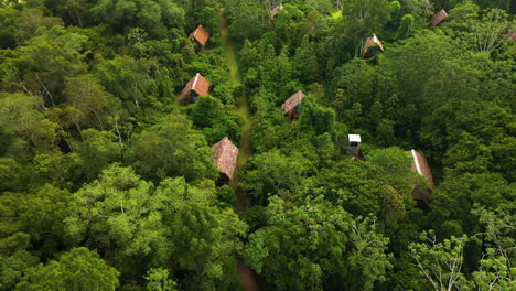 cinematic drone shot of jungle lodges in the amazon rainforest in iquitos peru near the amazon river