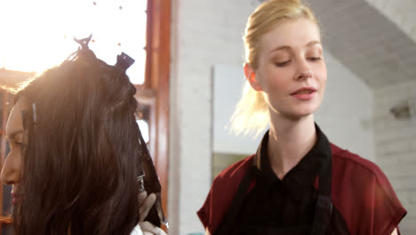 hairdresser dyeing hair of her client