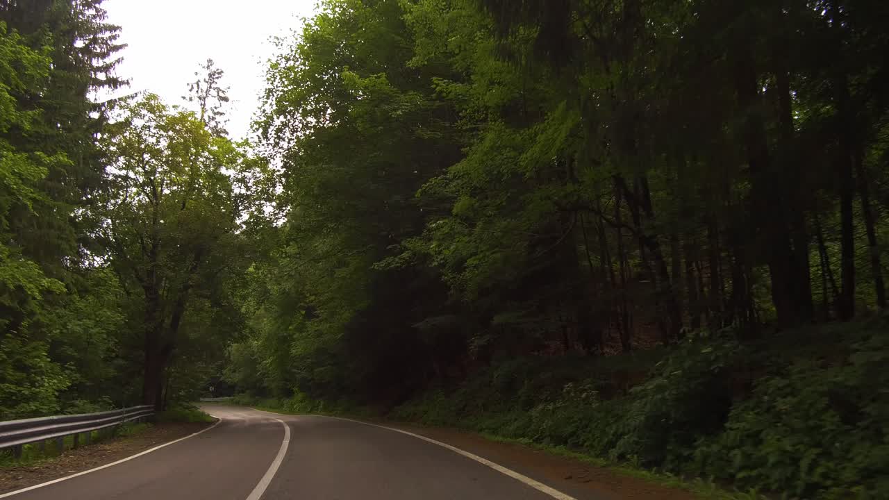 도로 옆에 키 큰 푸른 나무가 있는 구불구불한 도로에서 천천히 운전하고, 부체기 산, 돌리 포워드