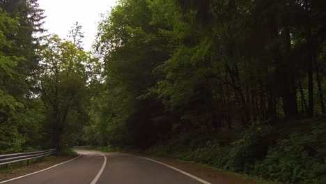 slow drive on a winding road with tall green trees on the side of the road, bucegi mountains, dolly forward