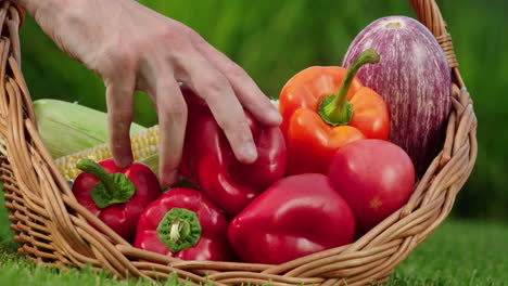 cesta de verduras frescas