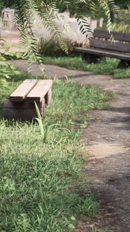 a path through a lush green garden with a wooden bench