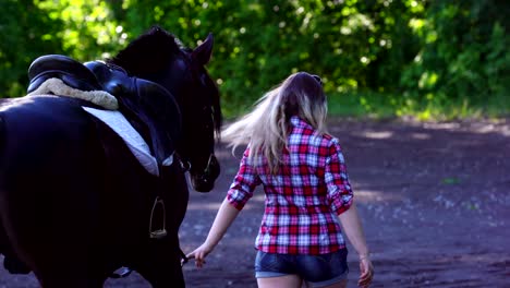 young blonde woman in a plaid shirt takes a walk with his horse. summer sunny evening.