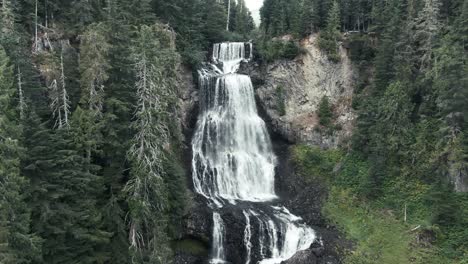 stunning waterfalls with dense coniferous forest in british columbia, canada