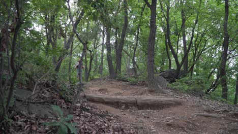 Excursionista-Turístico-Masculino-Camina-Por-El-Sendero-De-La-Carretera-De-Montaña-En-El-Bosque-De-Corea-Del-Sur-En-ángulo-Bajo-De-Verano